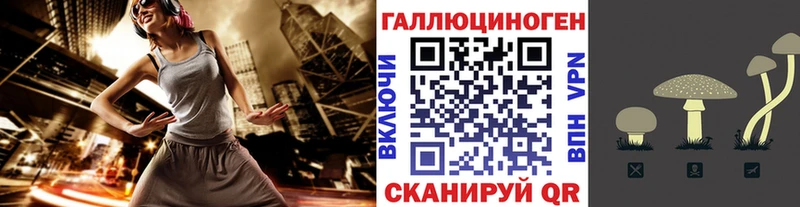 купить закладку  omg   Галлюциногенные грибы мухоморы  Биробиджан 